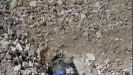 大货车闯红灯侧翻!小车瞬间被埋!致3人死亡！