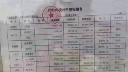工资曝光！村长“秒杀”水泥厂高管！